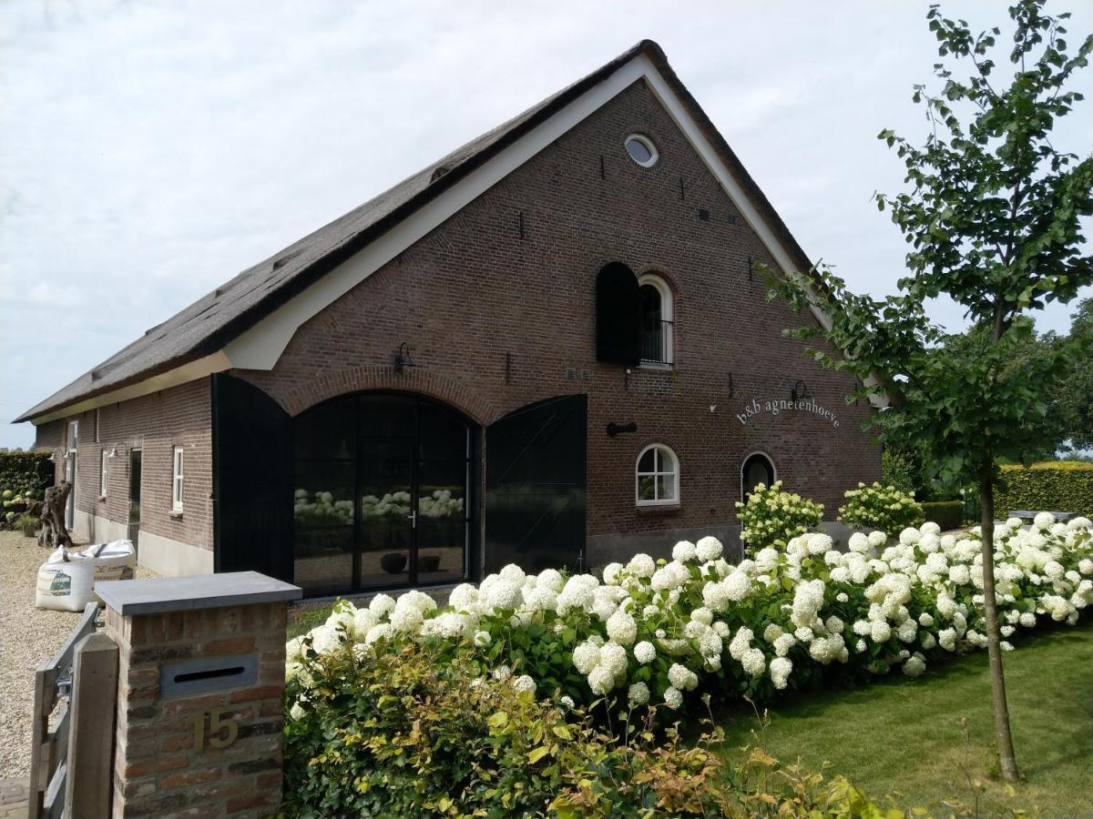 B&B Agnetenhoeve Overasselt 外观 照片